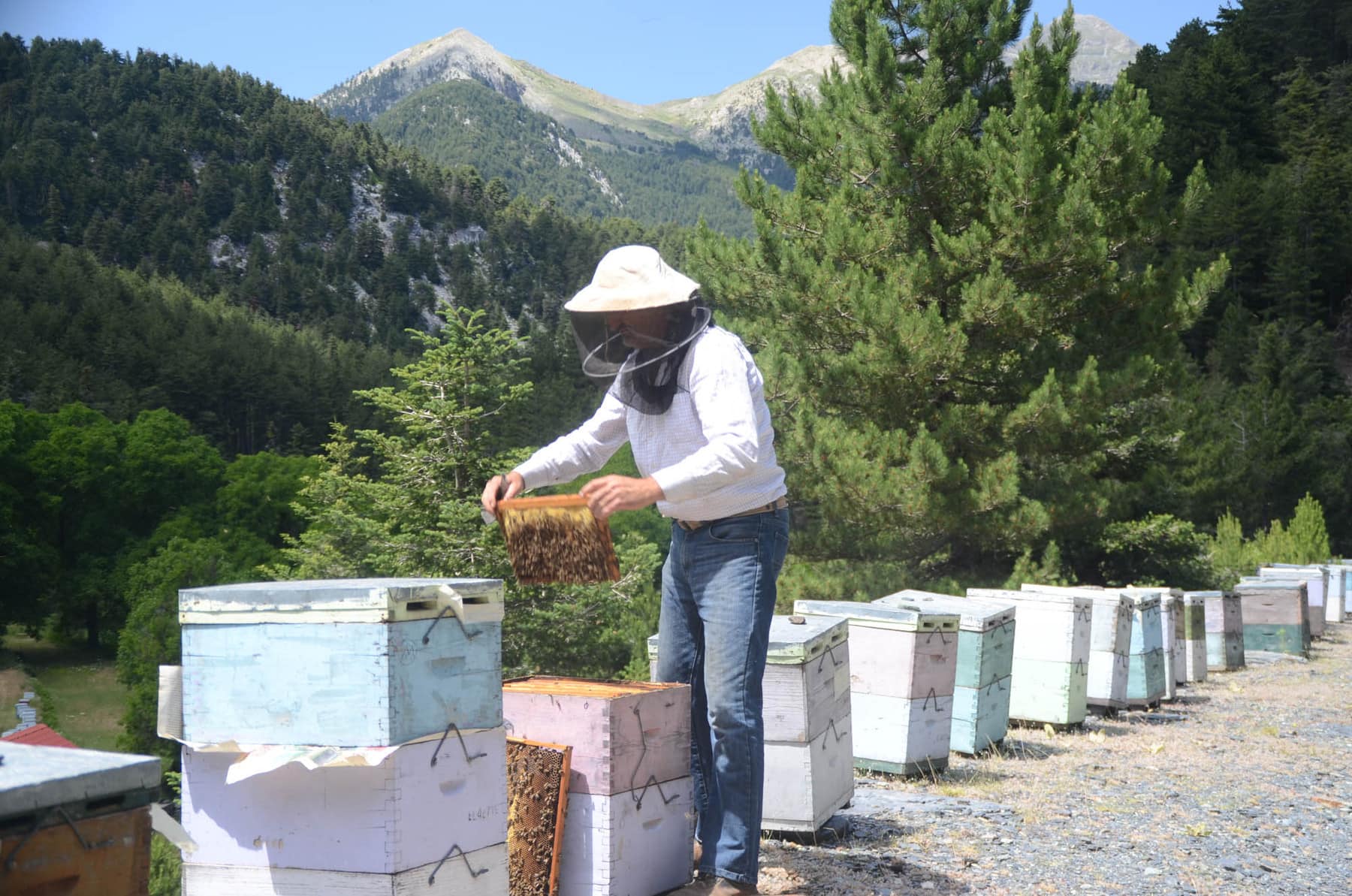 Learn about natural building and beekeeping and co-create our