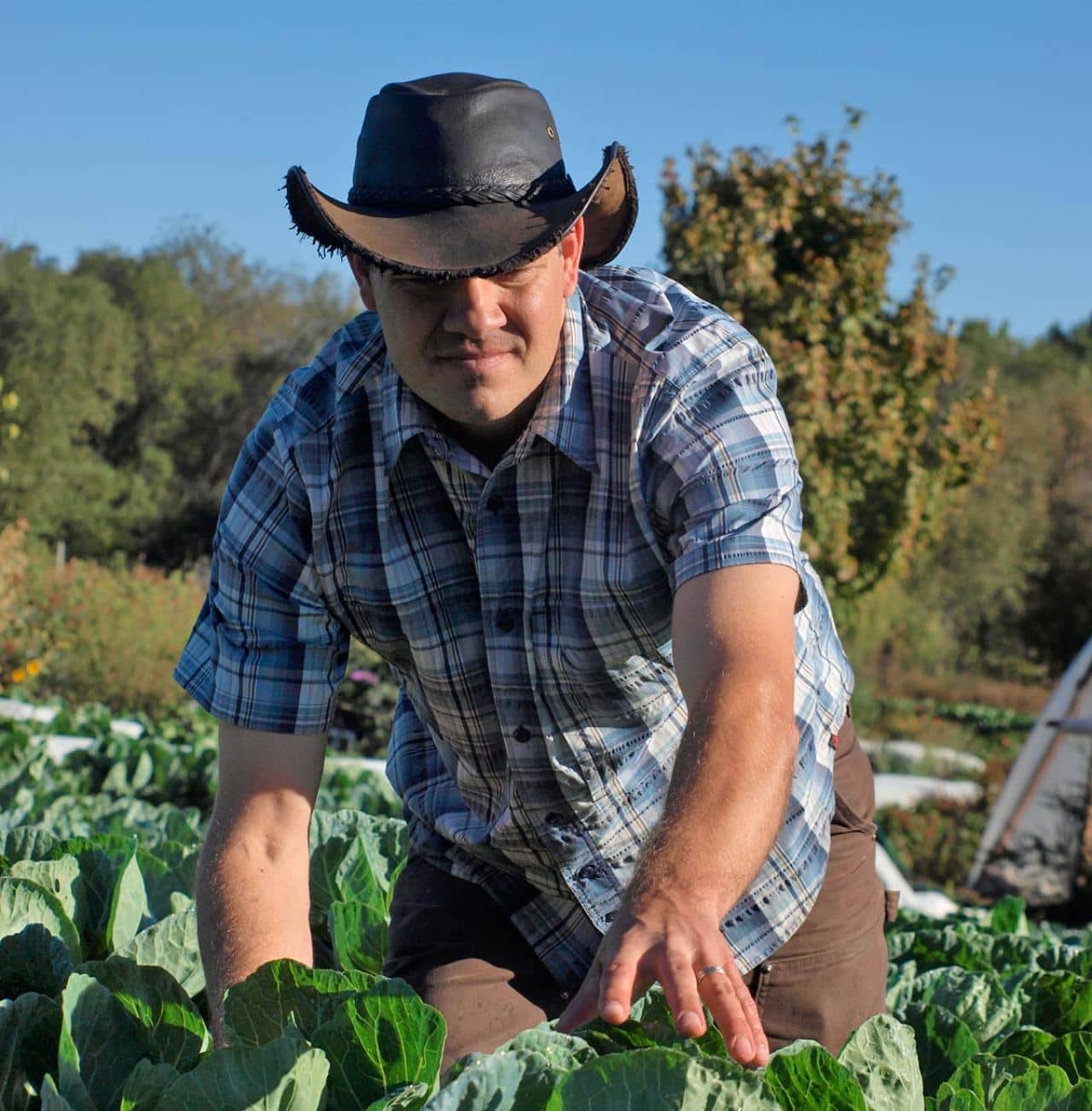 Why Garden Hats Matter - Minnesota State Horticultural Society